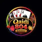 Qaidi 804 game