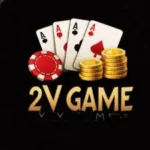 2V Game