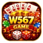 W567 Game