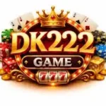 DK222 Game