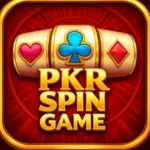 Pkr Spin Game
