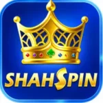 Shah Spin Game